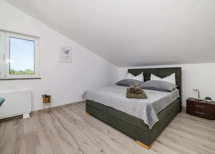 Sunshine E تْسْغيكفانِتْسا